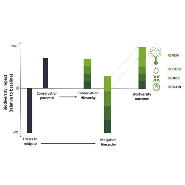 Mitigation and Conservation Hierarchy